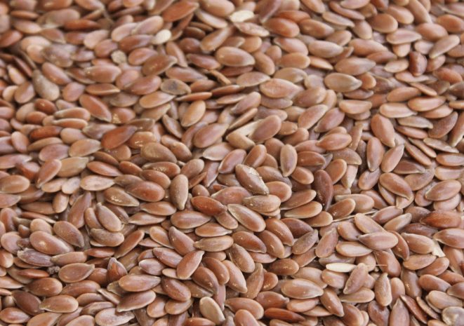 Flaxseed, an oilseed